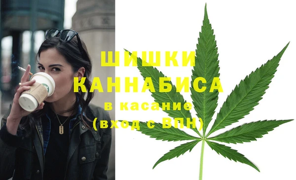 гидропоника Вяземский