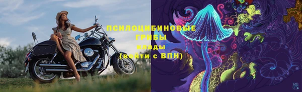 тгк Вязьма