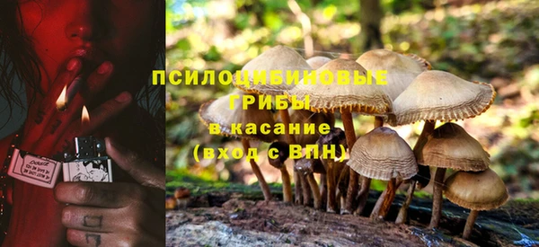 тгк Вязьма