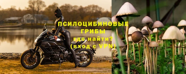 гидропоника Вяземский
