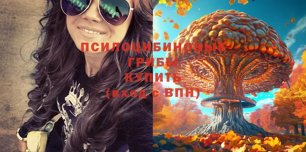 дживик Вязники